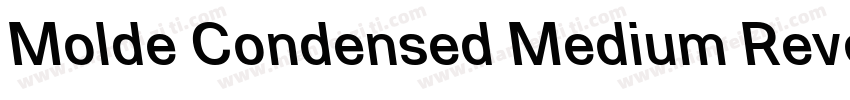 Molde Condensed Medium Reverse字体转换